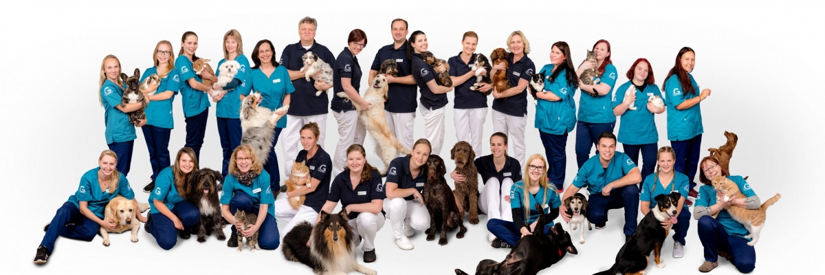 Lebertumor beim Hund Tiergesundheitszentrum Südharz GmbH