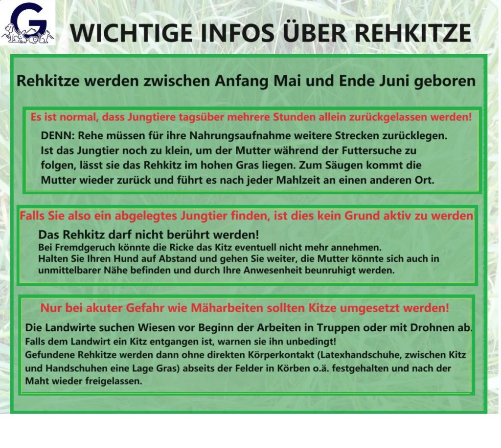Infografik „Wichtige Infos über Rehkitze“: Kitze werden Mai bis Juni geboren, allein gelassen ist normal, nicht anfassen