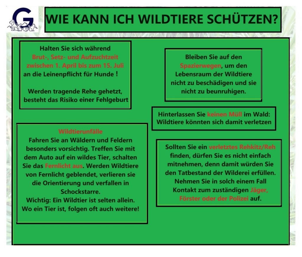 Infotafel „Wie kann ich Wildtiere schützen?“: Leinenpflicht in Brut- und Setzzeit, auf Wegen bleiben, kein Müll, Vorsicht vor Wildunfällen
