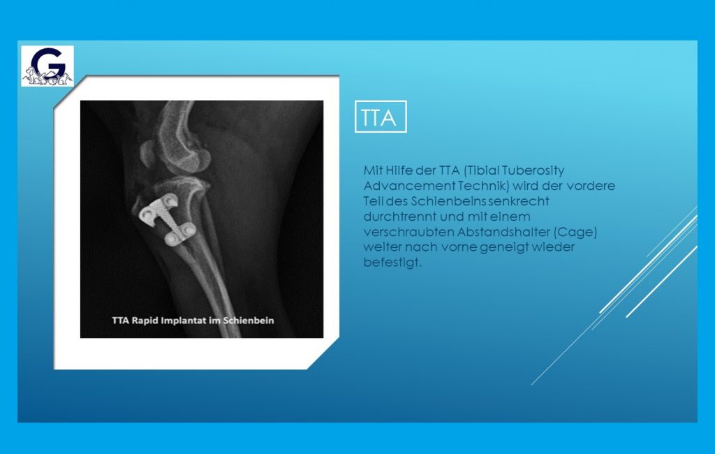 Folie zur TTA: Röntgenbild eines Hundeknies mit TTA-Rapid-Implantat im Schienbein und kurzer Erklärung der Operationstechnik