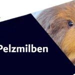 Pelzmilben