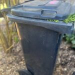 Vergiftung durch Biotonne - Fallbeispiel eines Hundes