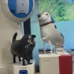 Erweiterung unseres in-house Labors