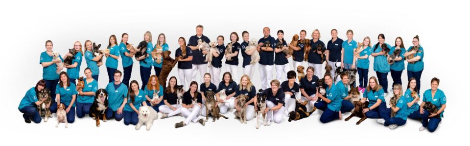 Team des Tiergesundheitszentrums Südharz in Osterode